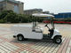 Voiture électrique compacte de cargaison, voiture électrique de 2 Seater avec le miroir de la vue 2pcs arrière fournisseur