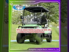 Véhicule de chasse électrique à moteur alternatif de 5 kW avec contrôleur 48V pour des performances puissantes