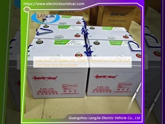 Batterie de voiture au plomb 6V 170AH Marshell pour chariot de golf