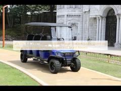 Voiturette de golf électrique 48V avec une autonomie de 70-80 km, une vitesse maximale de 18-40 km/h et une charge maximale de 510 kg pour les terrains de golf et les stations touristiques