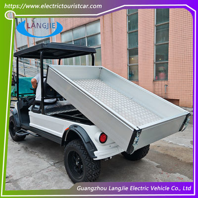 Moteur électrique à courant alternatif de 48 V, voiture de golf à 2 places, alimentée par batterie, certification CE pour le stationnement